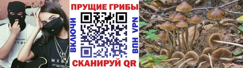 Галлюциногенные грибы MAGIC MUSHROOMS  площадка какой сайт  Бахчисарай  kraken ONION 